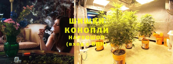 индика Балахна