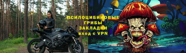 индика Балахна