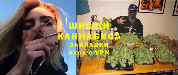 индика Балахна