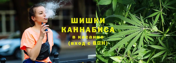 индика Балахна