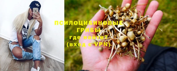 индика Балахна